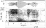 Automatic classification of phonation types in spontaneous speech: towards a new workflow for the characterization of speakers' voice quality